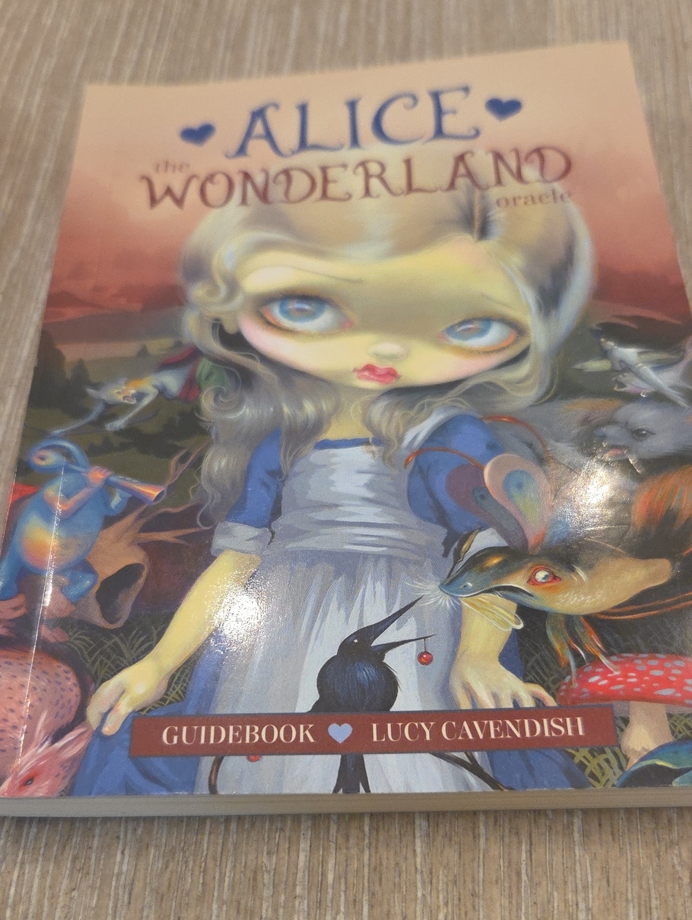 Alice in Wonderland Oracle Guidebook ONLY, No Cards.